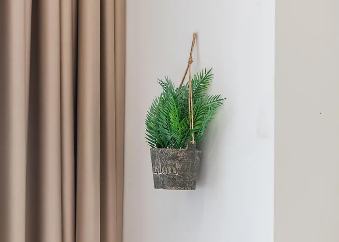 דירה Gallery By *